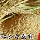 【ふるさと納税】【令和元年産】宮城県白石市産 ササニシキ玄米...