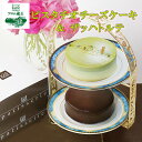 【ふるさと納税】【ふるさと納税限定】フロム蔵王 ピスタチオチーズケーキ&ザッハトルテ | チーズケーキ ピスタチオ チョコケーキ 冷凍ケーキ セット ギフト バースデーケーキ 入学 入園 卒業 祝い 内祝い 山田乳業 ふるさと納税 宮城県 白石 白石市【0111002】