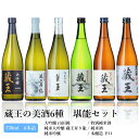 【ふるさと納税】 日本酒 セット 蔵王 6種 大吟醸 純米大吟醸 藏王昇り龍 純米吟醸 特別純米酒 純米酒 本醸造辛口 720ml 6本 飲み比べ 酒 地酒 日本酒 ギフト プレゼント お歳暮 お取り寄せ ふるさと納税 宮城県 白石市 【02152】