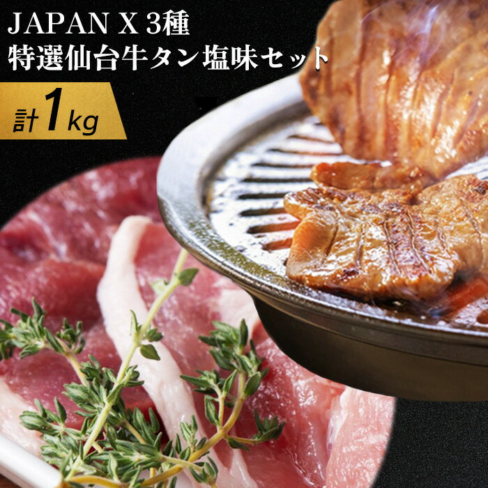 JAPANX3種800gと特選仙台牛タン塩味200gセット JAPANX ロース モモ 小間 仙台牛タン 塩 計1kg 豚肉 牛肉 肉厚 JAL機内食 採用 食材王国みやぎ 大賞受賞 ふるさと納税 宮城県 白石 白石市【04155】