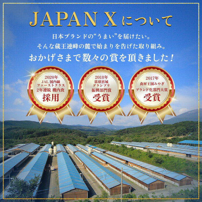 【ふるさと納税】【定期便:2ヶ月】 JAPANX3種800gと特選仙台牛タン塩味200g JAPANX ロース モモ 小間 仙台牛タン 塩 計1kg 豚肉 牛肉 JAL機内食 採用 定期便 2ヶ月 ふるさと納税 宮城県 白石 白石市【04161】