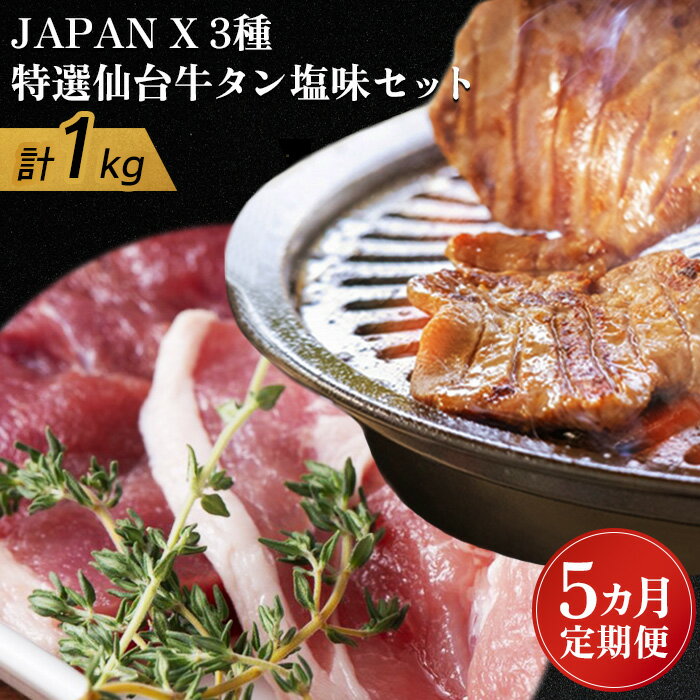 【ふるさと納税】【定期便:5ヶ月】 JAPANX3種800g