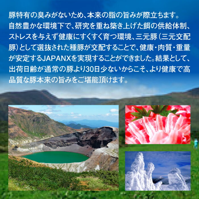 【ふるさと納税】【定期便：全10回】 訳あり JAPANX 豚小間1.5kg 家庭用牛タン 塩味 600g セット オンライン 申請 ふるさと納税 宮城 白石 豚肉 ブランド豚 豚 牛肉 牛タン 牛 タン 肉 お肉 JAL機内食 定期便 10ヶ月 白石市【04183】