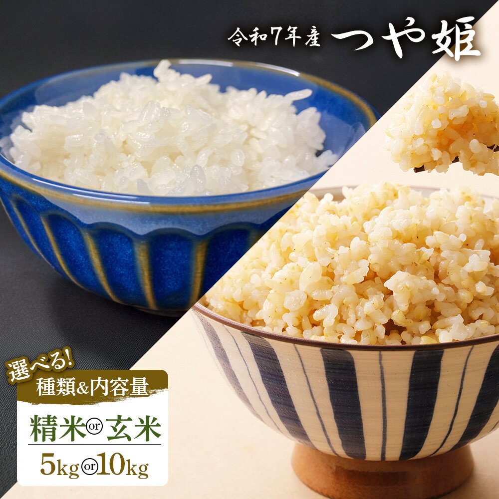 ڤդ뤵Ǽǡۡ or  ̤٤7ǯ Ĥɱ ܾ븩лԻ | Ĥɱ ܾ븩л лԻ      ֥...