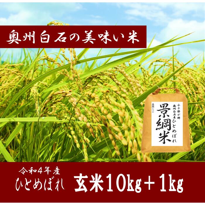 47位! 口コミ数「0件」評価「0」米 ひとめぼれ 10kg ＋ 1kg増量 増量 令和4年 新米 玄米 お米 おこめ 国産 送料無料 ふるさと納税 宮城県 白石 白石市 【0･･･ 