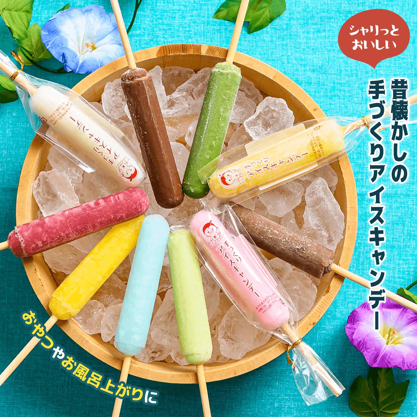 【ふるさと納税】アイス 棒 詰め合わせ 20本 | 10種類 老舗 ギフト アイスキャンディー レトロ デザート お盆 くさかもちや 日下食品 手づくり お中元対応 ふるさと納税 宮城県 白石 白石市【09160】