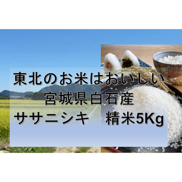 【ふるさと納税】『令和5年産』 宮城県白石産 ササニシキ精米 5kg 5キロ 5キロ 5kg お米 米 ササニシキ 白米 精米 宮城米 ふるさと納税 宮城県 白石市 白石【12155】