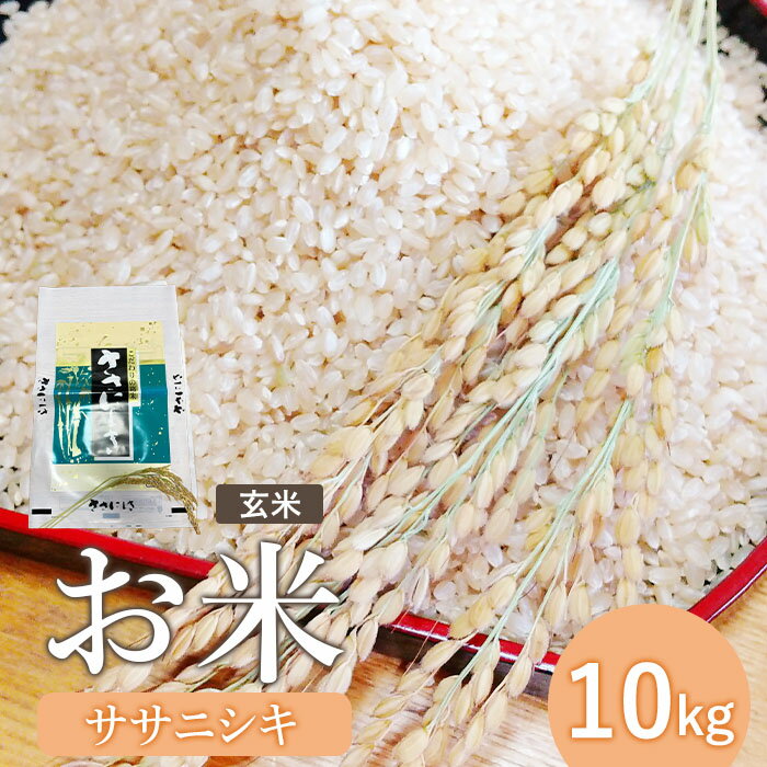 『令和5年産』宮城県白石産 ササニシキ玄米 10kg 10キロ 10キロ 10kg お米 米 定期 ササニシキ 玄米 宮城米 ふるさと納税 宮城県 白石市 白石[12153]