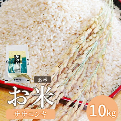 『令和5年産』宮城県白石産 ササニシキ玄米 10kg 10キロ 10キロ 10kg お米 米 定期 ササニシキ 玄米 宮城米 ふるさと納税 宮城県 白石市 白石【12153】