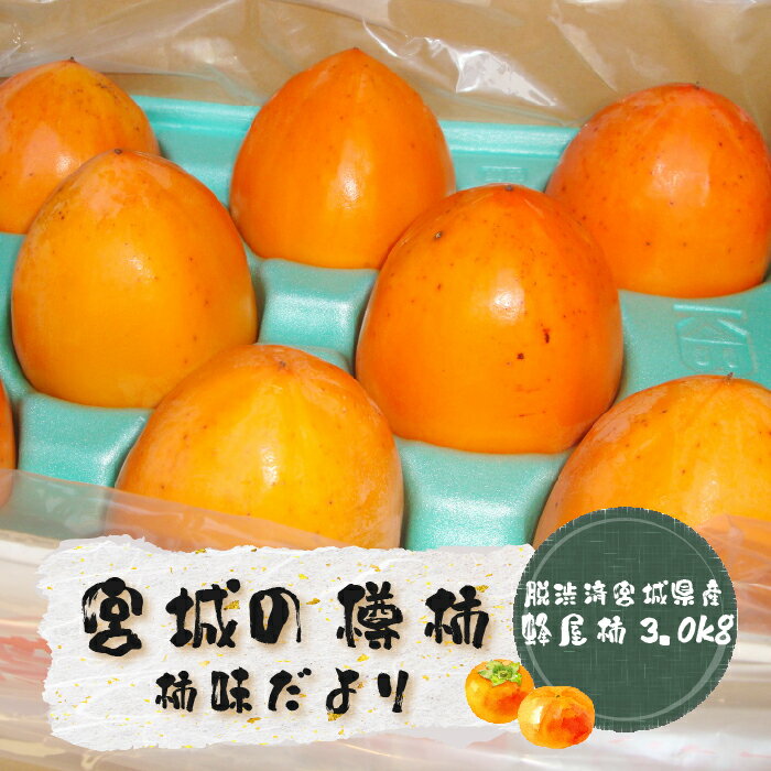 【ふるさと納税】宮城の樽柿 (脱渋済宮城県産蜂屋柿3.0kg) | 柿味だより 柿 干し柿 干柿 かき フルーツ 果物 秋 秋の味覚 ころ柿 季節限定 期間限定 12月発送 先行予約 宮城 ふるさと納税 宮城県 白石市 白石【13006】のサムネイル