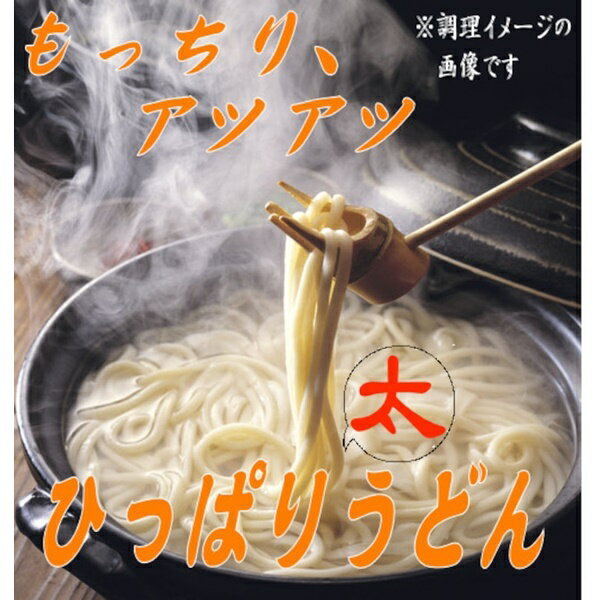 【ふるさと納税】ひっぱり太うどん　260g　10袋入【41155】 2