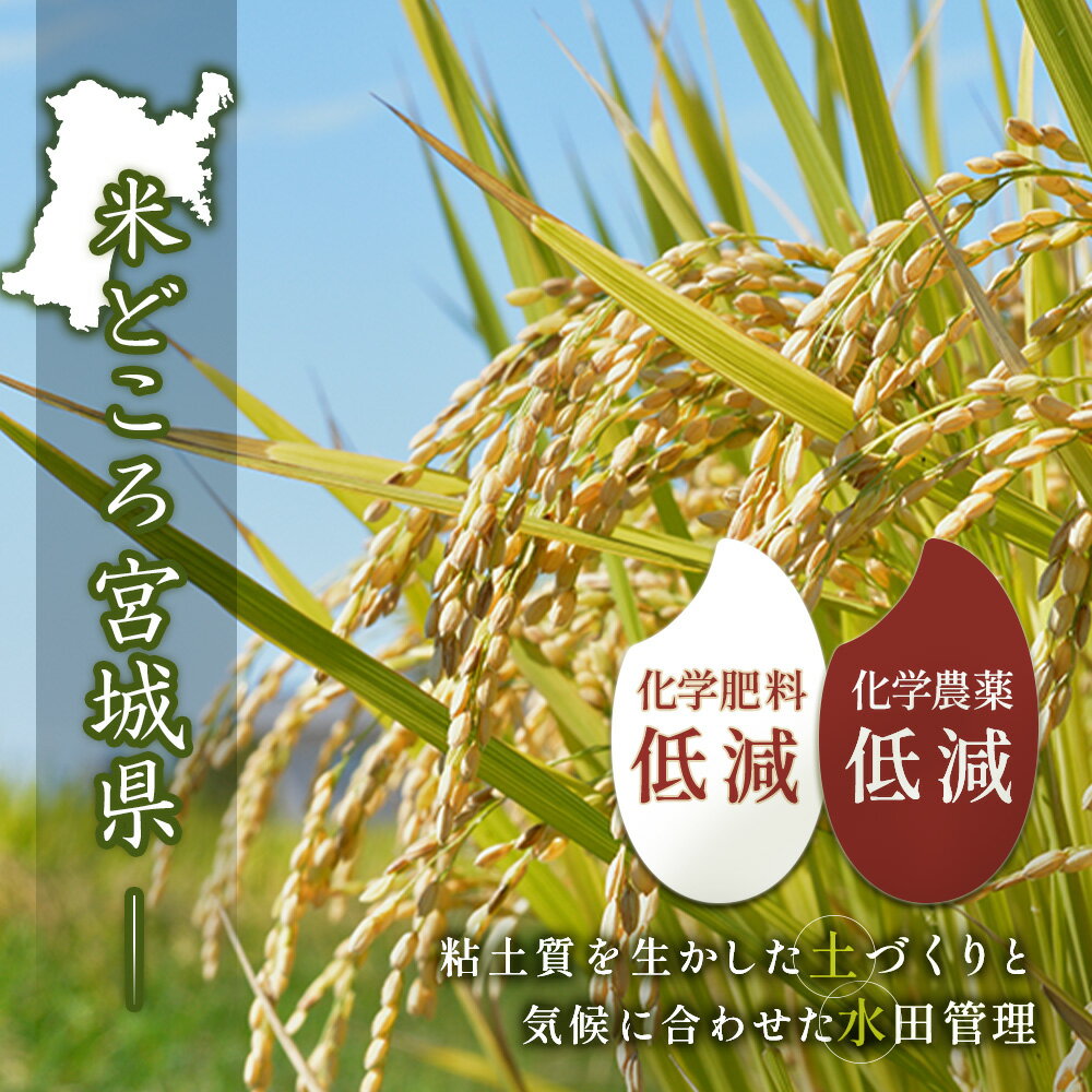 【ふるさと納税】【2025年産】つや姫（精米） 2kg or 5kg 選べる内容量【数量限定】 | 宮城県 白石 ひとめぼれ 宮城米 みやぎ米 精米 白米 人気 銘柄 ブランド米 美味しい 米 上品 甘み ご飯 弁当 おにぎり おむすび お取り寄せ 宮城県 白石市 白石