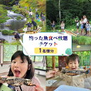 【ふるさと納税】釣った魚食べ放題チケット(1名様分) | 釣り 体験 食べ放題 利用券 1枚 から揚げ 塩焼き 調理 レジャー 旅行 アウトドア 釣り堀 チケット 宮城県 白石市 白石【520003】|詳細画像