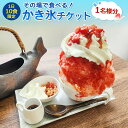 【ふるさと納税】【蔵王の湧き水を凍らせて、48時間】その場で食べる!かき氷チケット(1名様分) | 賞味期限 10分 かき氷 氷菓 デザート スイーツ 食事券 チケット 旅行 観光 蔵王 湧き水 カキ氷 宮城県 白石市 白石【520004】