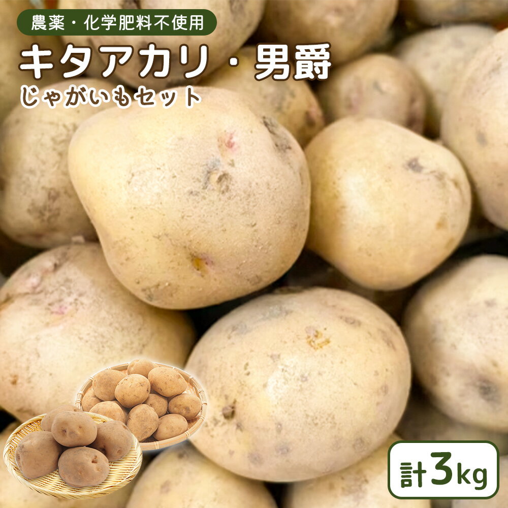 [農薬・化学肥料不使用]じゃがいも 計3kg(キタアカリ・男爵)セット | 農薬不使用 化学肥料不使用 セット 詰め合わせ キタアカリ 男爵 じゃがいも ジャガイモ ホクホク 芋 料理 野菜 国産 お取り寄せ 宮城県 白石市 白石[55001]
