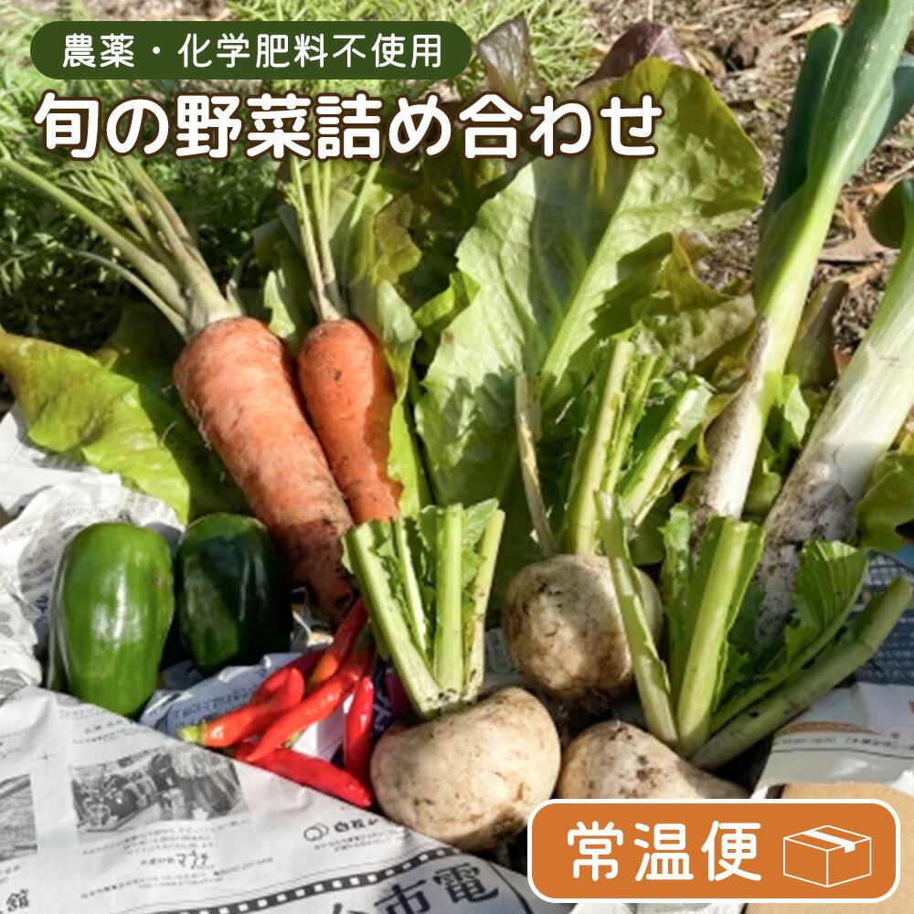 [農薬・化学肥料不使用]旬野菜詰め合わせ(常温便) | 農薬不使用 化学肥料不使用 セット 詰め合わせ 野菜 じゃがいも 芋 さつまいも にんじん 野菜セット かぶ 玉ねぎ 国産 お取り寄せ 宮城県 白石市 白石[55004]