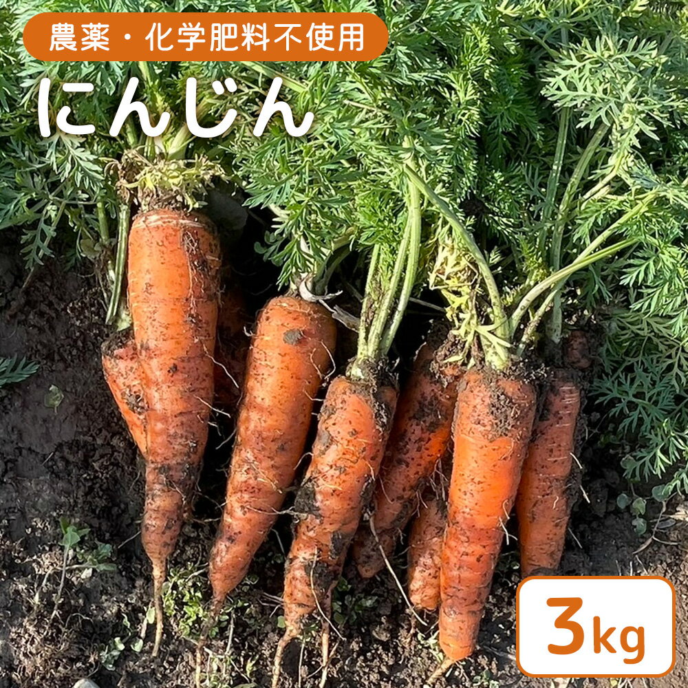 [農薬・化学肥料不使用]にんじん3kg | 農薬不使用 化学肥料不使用 にんじん 人参 野菜 国産 やさい 宮城 宮城産 お取り寄せ 宮城県 白石市 白石[55009]