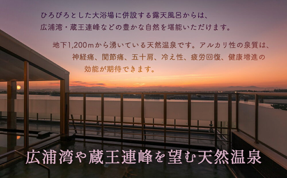 【ふるさと納税】 名取ゆりあげ温泉 日帰り入浴 回数券 11枚