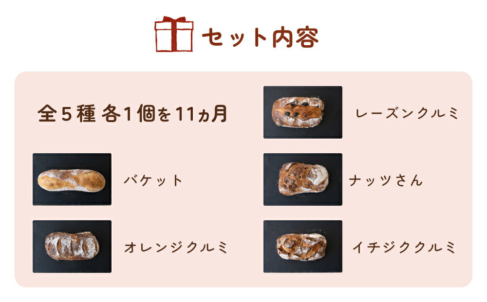 【ふるさと納税】【11ヵ月定期便】名取 閖上のぱんやこてつ 手作り 国産小麦のハード系パンセット