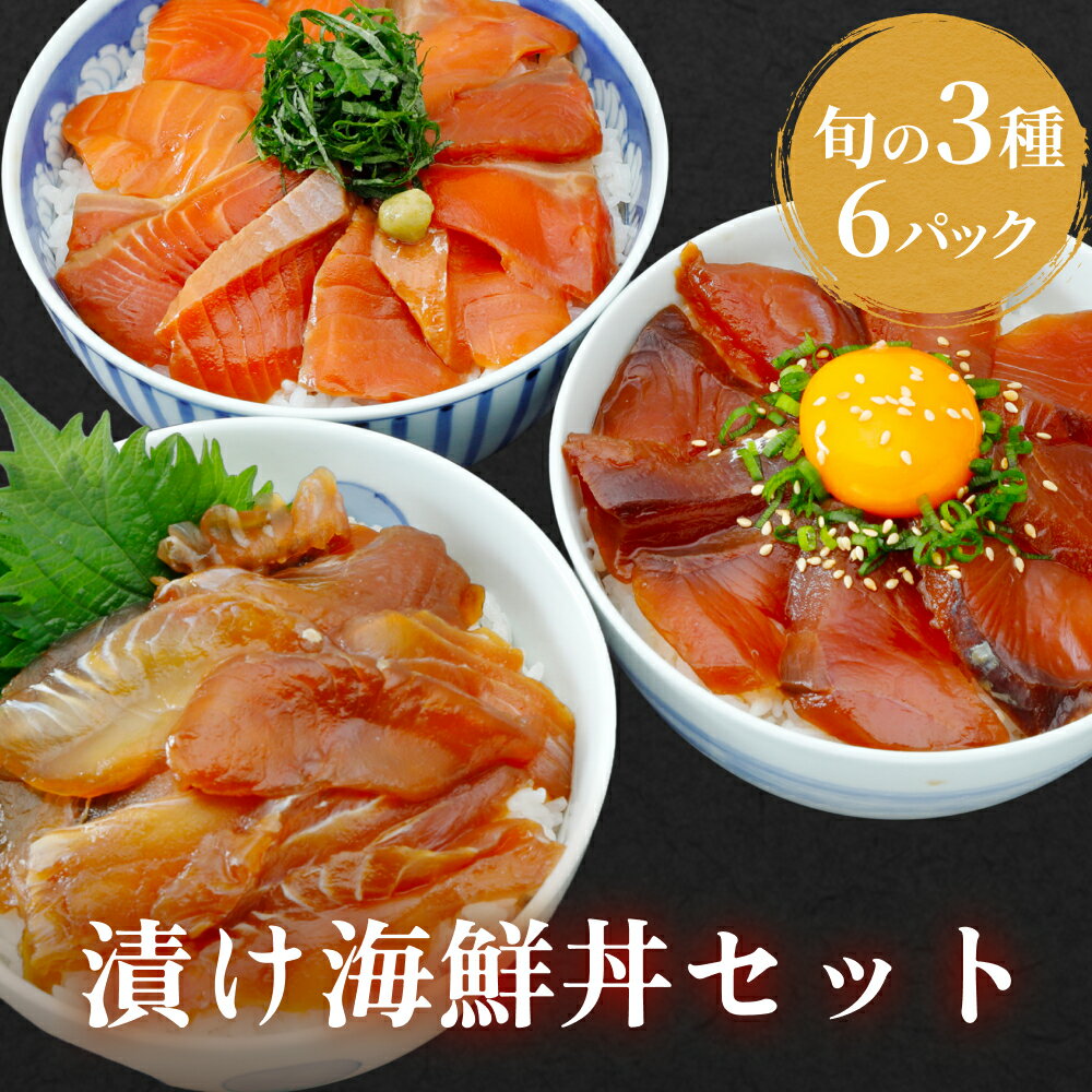 【ふるさと納税】漬け 海鮮丼 セット 旬の3種6P