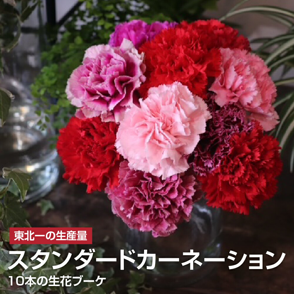 [指定日受付※母の日ギフト]東北一の生産量! 名取産カーネーションのフラワーブーケ(※5月3日(日)〜12日(火)間の配送及びお届け日指定はお受けできません)