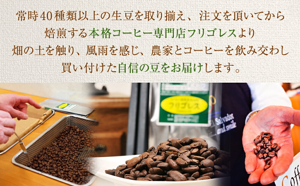 【ふるさと納税】【10回お届け!】フリゴレス プレミアム 3種 コーヒーセット (挽粉)