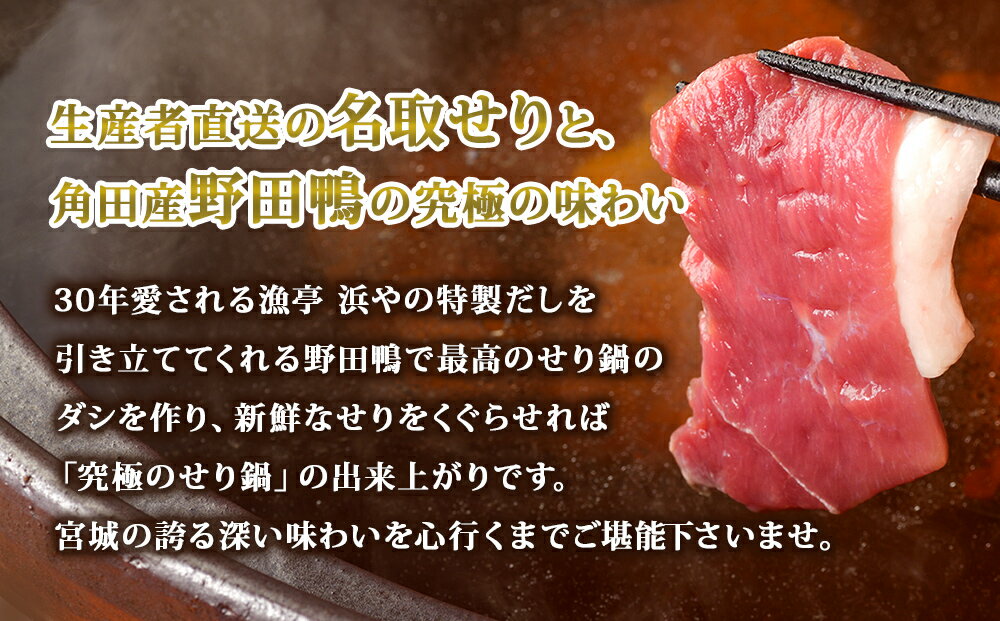 【ふるさと納税】 【お届け日時指定必須】漁亭 浜や 宮城ブランド野田鴨で食す仙台せり鍋セット2～3名盛り×2箱セット