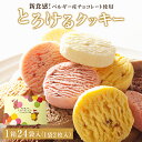 【ふるさと納税】アルパジョン 新食感! とろけるクッキー 24袋入 ベルギー産チョコレート 使用 フレーバー 12種 アルパジョン