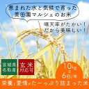 【ふるさと納税】【年6回隔月お届け!】平成30年度産新米! ...