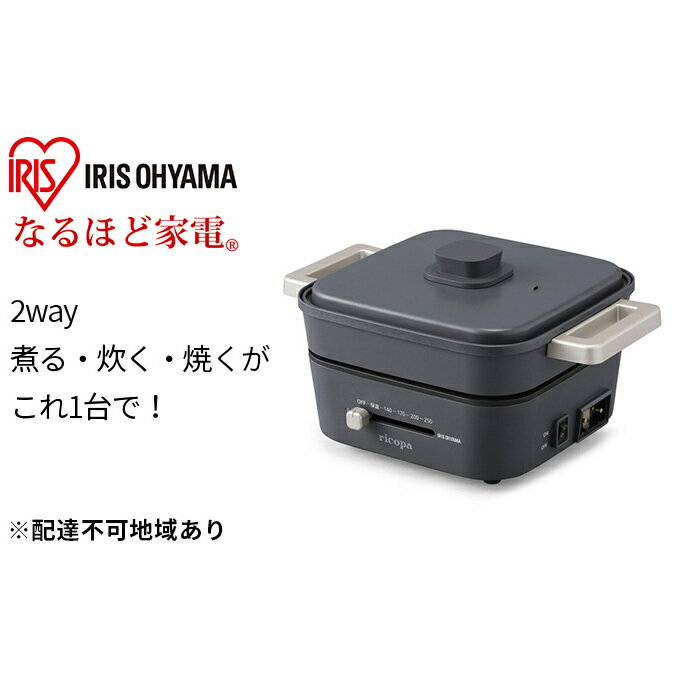 【ふるさと納税】ricopa グリルなべ2枚プレート IGU-PR2-H グレー 【キッチン用品・調理家電】