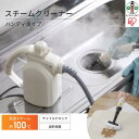 【ふるさと納税】掃除機 スチームクリーナーハンディタイプ S