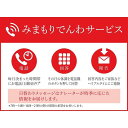 【ふるさと納税】郵便局のみまもりサービス「みまもりでんわサービス」(固定電話)(12か月)