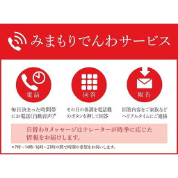 【ふるさと納税】郵便局のみまもりサービス「みまもりでんわサービス」（携帯電話）（12か月）