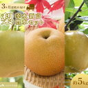 【ふるさと納税】【JAみやぎ仙南】梨「幸水」「豊水」「新高」セット 約5kg 3ヶ月連続お届け | フルーツ 果物 くだもの 食品 人気 おすすめ 送料無料