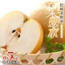 【ふるさと納税】梨「豊水」約5kg(8~10玉入)【松崎果樹園】 | フルーツ 果物 くだもの 食品 人気 おすすめ 送料無料