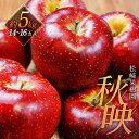 【ふるさと納税】「秋映」約5kg(14~16玉)【松崎果樹園】 | フルーツ 果物 くだもの 食品 人気 おすすめ 送料無料