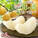 【ふるさと納税】2ヶ月連続お届け 旬の梨食べ比べ 約5kg【松崎果樹園】 | フルーツ 果物 くだもの 食品 人気 おすすめ 送料無料