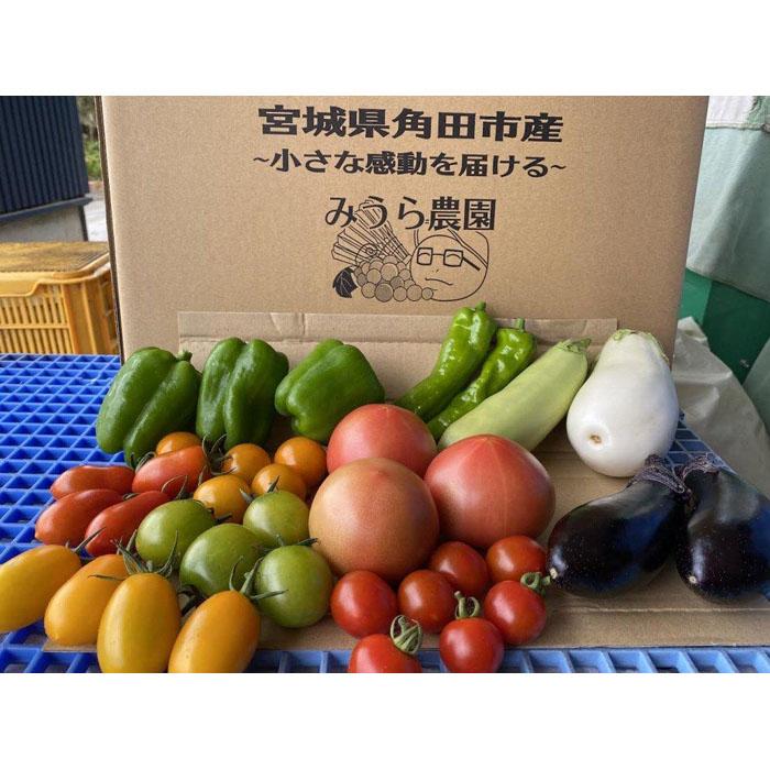 [みうら農園]季節の野菜セット(夏野菜) | 野菜 やさい 食品 人気 おすすめ 送料無料