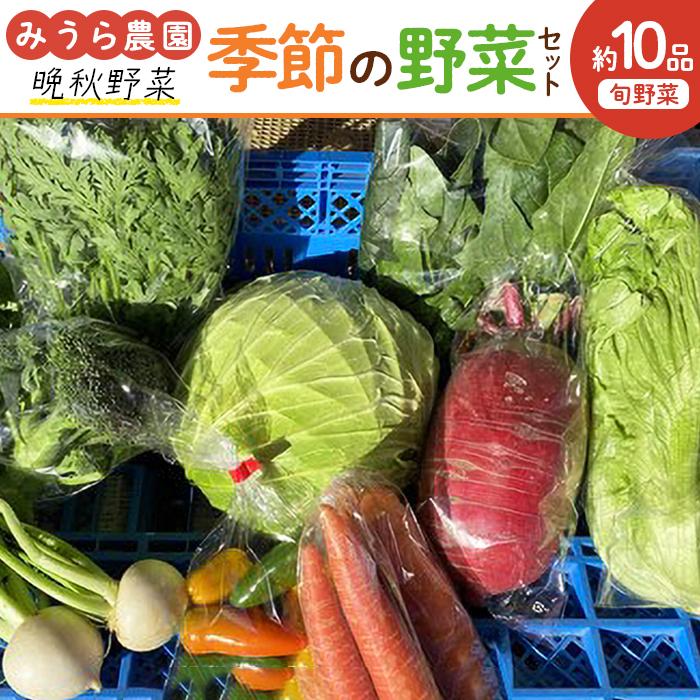 12位! 口コミ数「0件」評価「0」【みうら農園】季節の野菜セット（晩秋野菜） | 野菜 やさい 食品 人気 おすすめ 送料無料