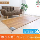 【ふるさと納税】ホットカーペット 176×88cmHCM-1809FL-M木目 | 電気カーペット ホットマット 木目調 176×88cm 木目 アイリスオーヤマ 節電 寒さ対策 足元 暖房 電気 暖房器具 こたつ対応 温度調節 温度調整
