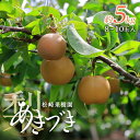 【ふるさと納税】梨「あきづき」約5kg(8~10玉入)【松崎果樹園】 | フルーツ 果物 くだもの 食品 人気 おすすめ 送料無料