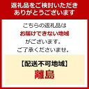 【ふるさと納税】【120g×24食】 パックごはん 低温製法米のおいしいごはん アイリスオーヤマ アイリスフーズ 国産米100％ レトルト ご飯 ごはん パックごはん パックご飯 非常食 防災 備蓄 防災食 一人暮らし 仕送り レンチン 3