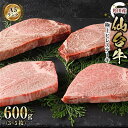 【ふるさと納税】【角田産仙台牛A5ランク】極上ヒレステーキ600g（3～5枚）