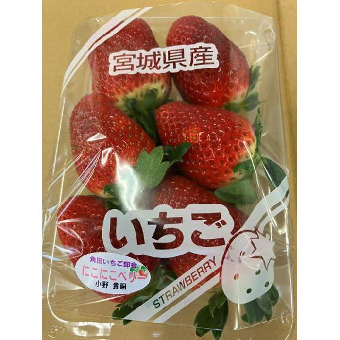 【ふるさと納税】【JAみやぎ仙南】宮城県角田市産いちご　にこにこベリー・とちおとめ詰合せ　合計約1kg（250g×4パック） | イチゴ 苺 食品 果物 フルーツ 人気 おすすめ 送料無料