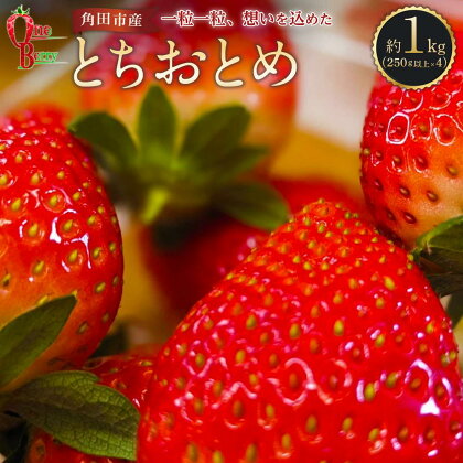 【OneBerryいちご農園】角田市産「とちおとめ」250g以上×4パック | フルーツ 果物 くだもの 食品 人気 おすすめ 送料無料