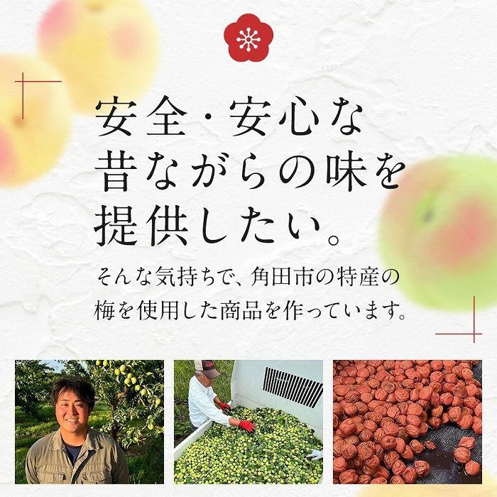 【ふるさと納税】＜訳あり＞宮城県角田産【無添加】まごころ手作り梅干し(1kg)　 | 梅干 食品 加工食品 人気 おすすめ 送料無料