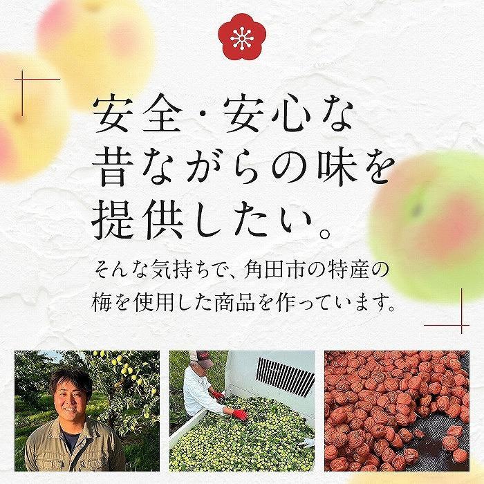 【ふるさと納税】宮城県角田産【無添加】まごころ手作り梅干し(270g)・練り梅(150g)1セット | 梅干 食品 加工食品 人気 おすすめ 送料無料