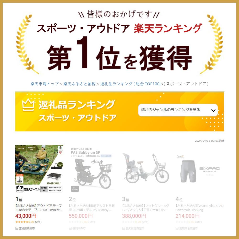 【ふるさと納税】アウトドア テーブル 焚き火テーブル TKB-TB98 焚き火 テーブル たき火 囲炉裏 キャンプ レジャー バーベキュー BBQ コンパクト 収納 組立 簡単 便利 耐熱 耐久性 おしゃれ アイリスオーヤマ