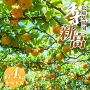 【ふるさと納税】梨「新高」約4kg(4~6玉入)【松崎果樹園】 | フルーツ 果物 くだもの 食品 人気 おすすめ
