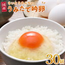 【ふるさと納税】\うみたて出荷/ 卵 30個 | たまご 玉子 タマゴ 鶏卵 国産 ごはん 卵かけごはん 卵焼き 玉子焼き オムライス 人気 おすすめ お取り寄...